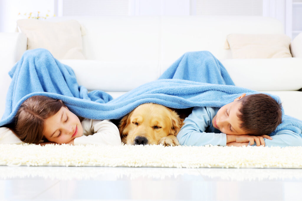 U.S.A: What Consumers Look for in Blankets