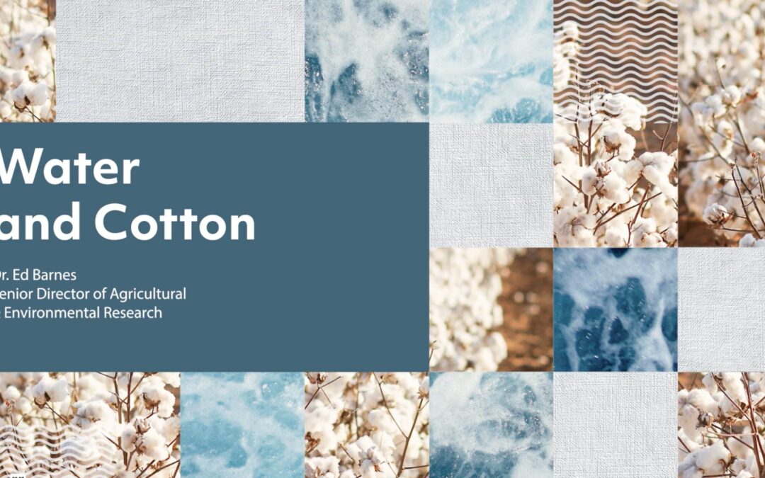 Water & Cotton