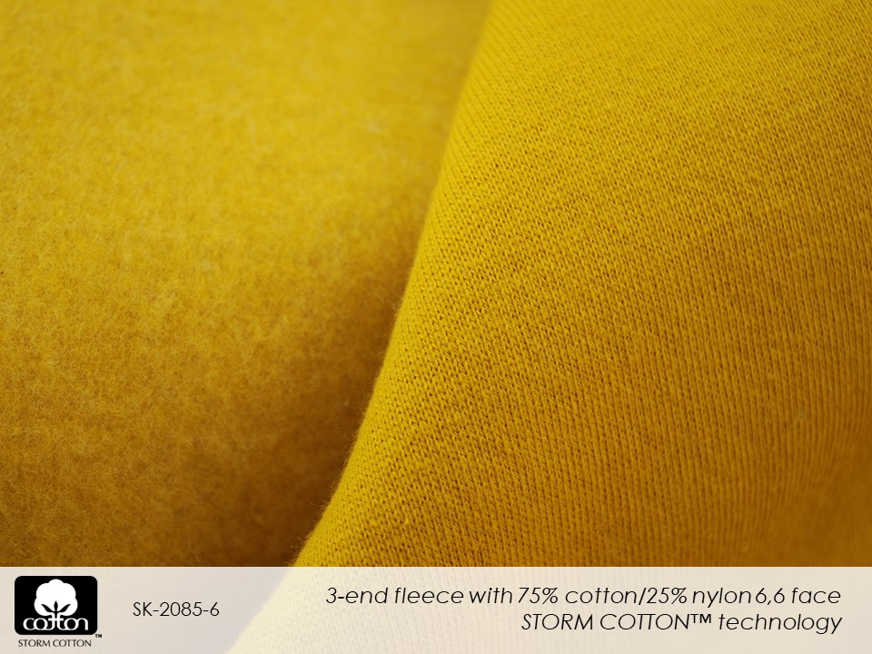 SK-2085-6 Slide12.JPG 2018 1