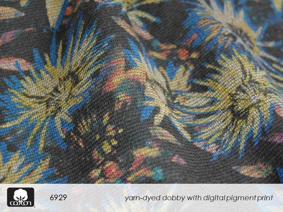 6929 Slide12.JPGcreative cotton II