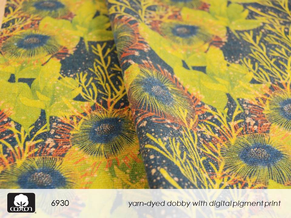 6930 Slide13.JPGcreative cotton II