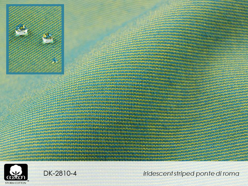 DK-2810-4 Slide14.JPGmmxvii