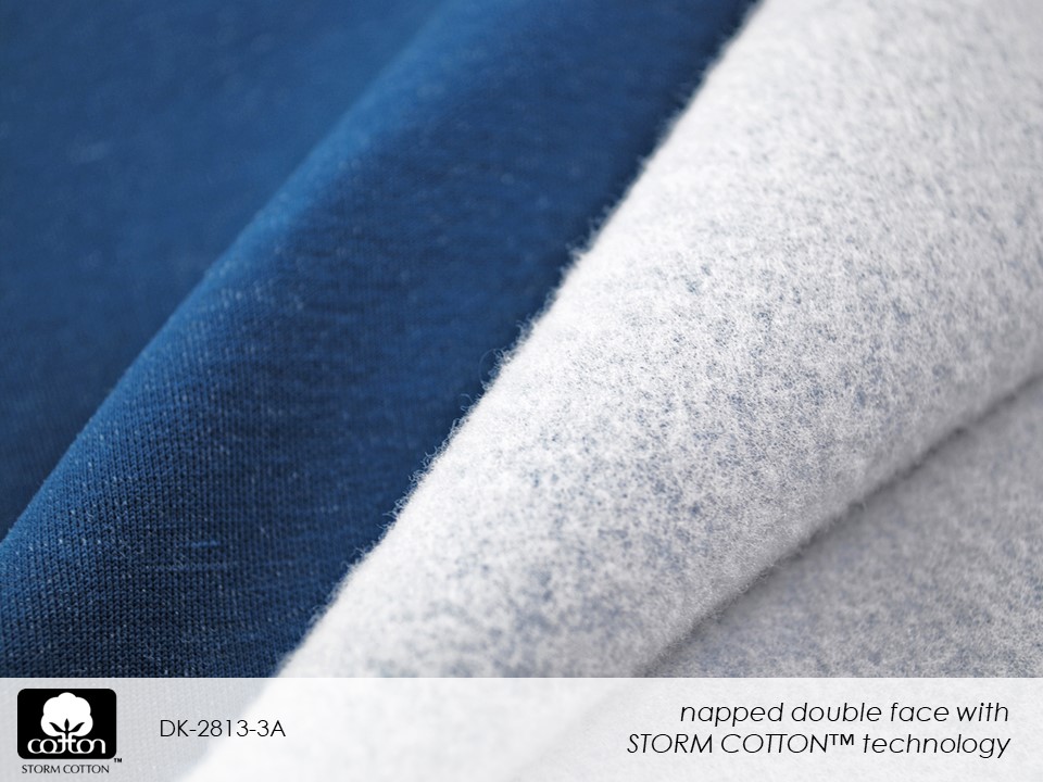 DK-2813-3A Slide18.JPG 2018 1