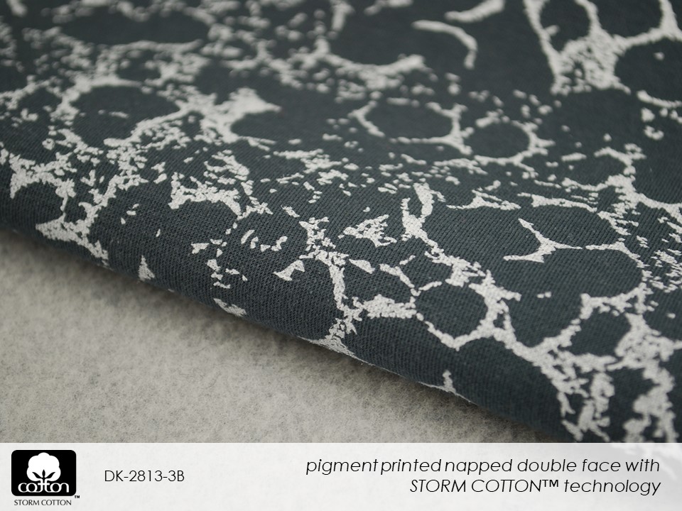 DK-2813-3B Slide19.JPG 2018 1
