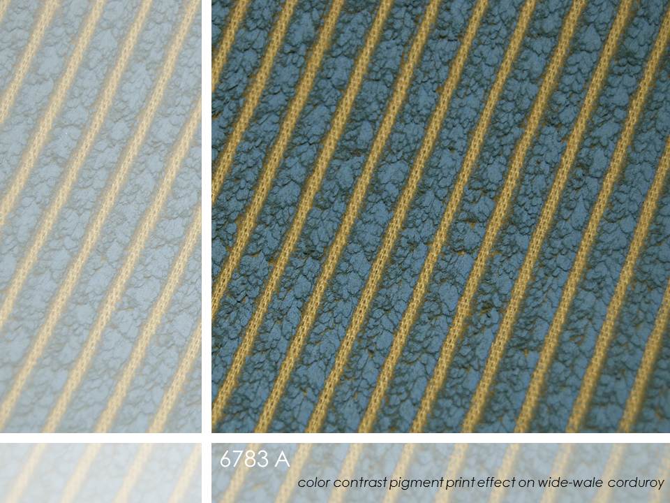 6783 A Slide19.JPG cotton inspirations