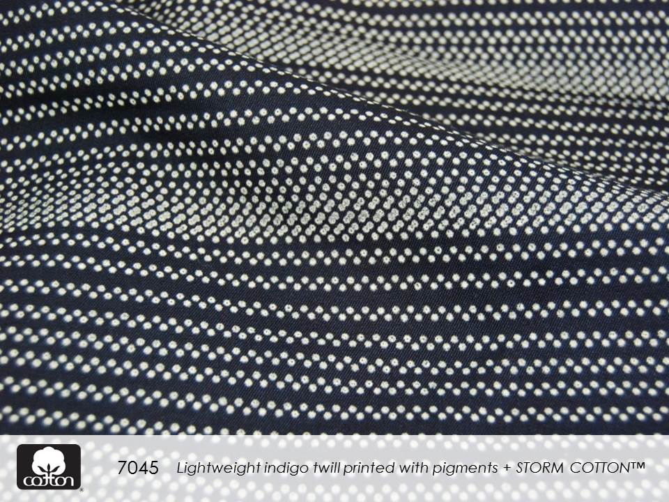 7045 Slide23.JPGcreative cotton II