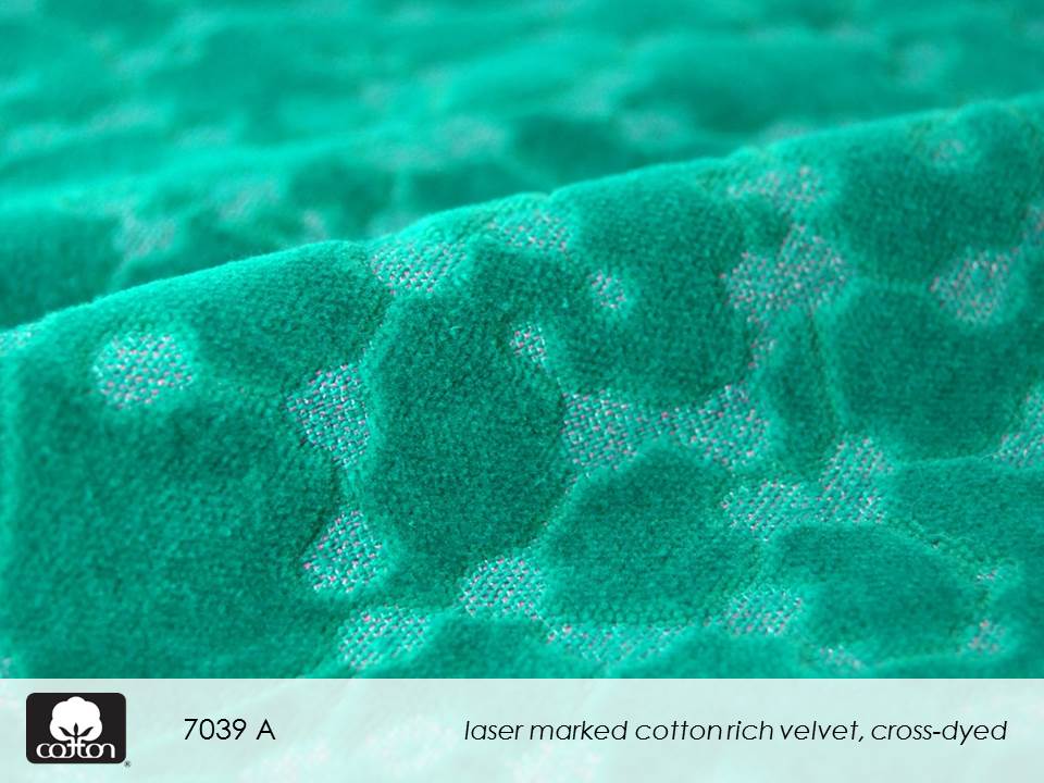 7039 A Slide31.JPGcreative cotton II