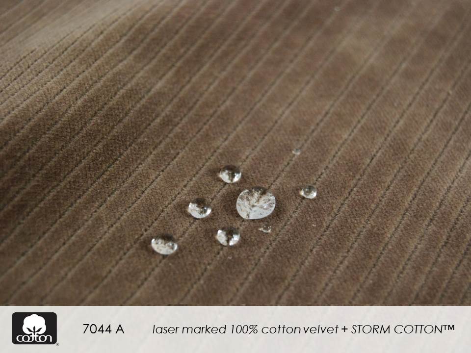 7044 A Slide32.JPGcreative cotton II
