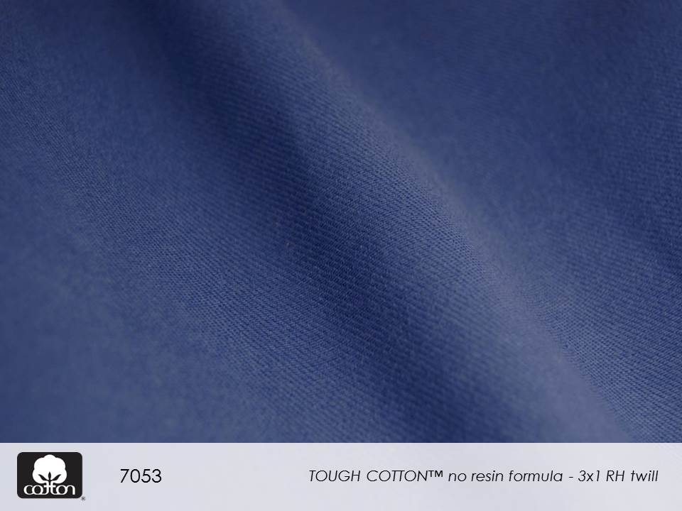 7053 Slide36.JPGcreative cotton II