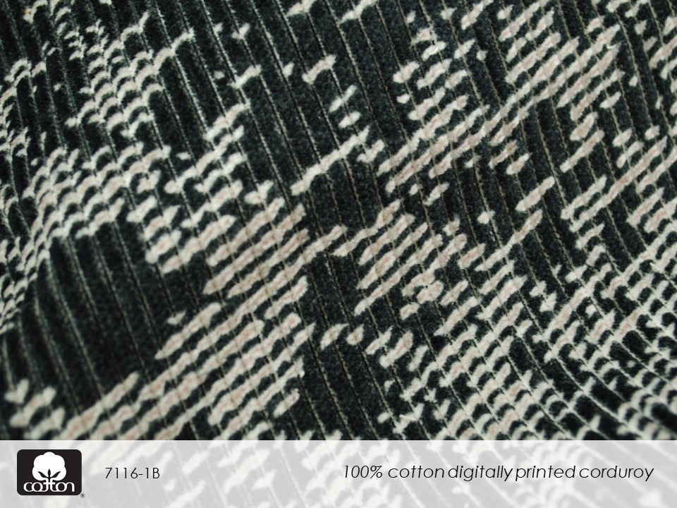 7116-1B Slide37.JPG 2018 1