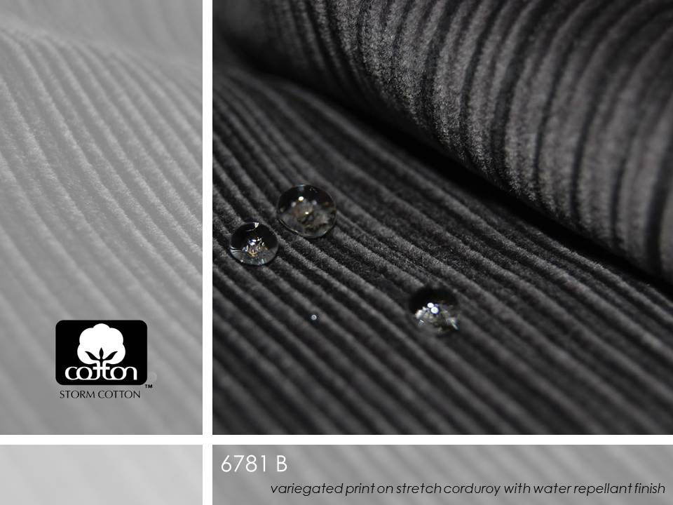 6781 B Slide4.JPG cotton inspirations