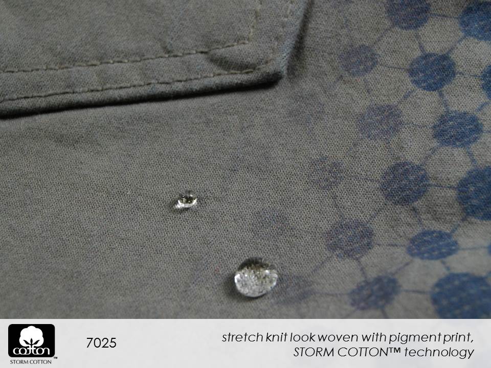 7025 Slide40.JPGmmxvii