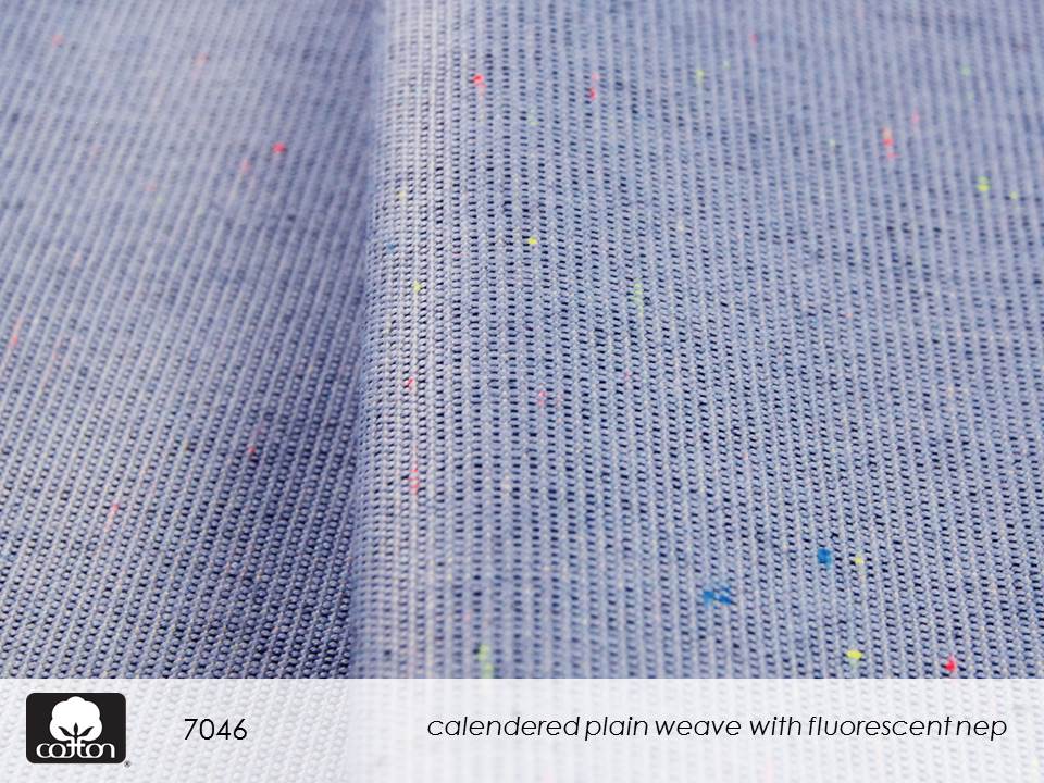 7046 Slide42.JPGmmxvii