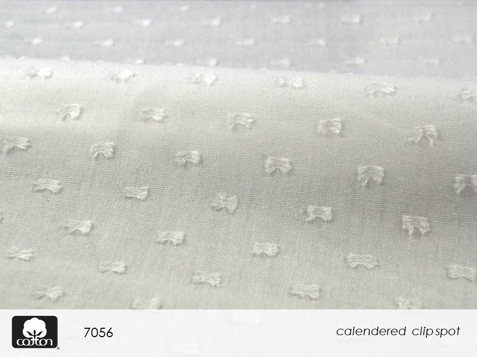 7056 Slide44.JPGmmxvii