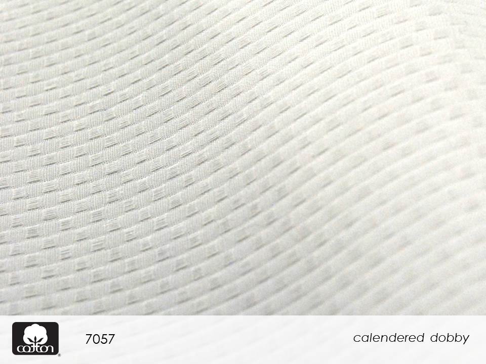 7057 Slide45.JPGmmxvii