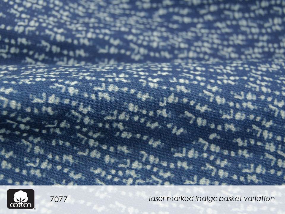 7077 Slide46.JPGmmxvii