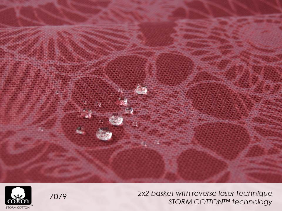 7079 Slide48.JPGmmxvii
