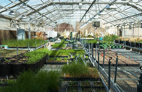 Colorado Molecular and Basic Research