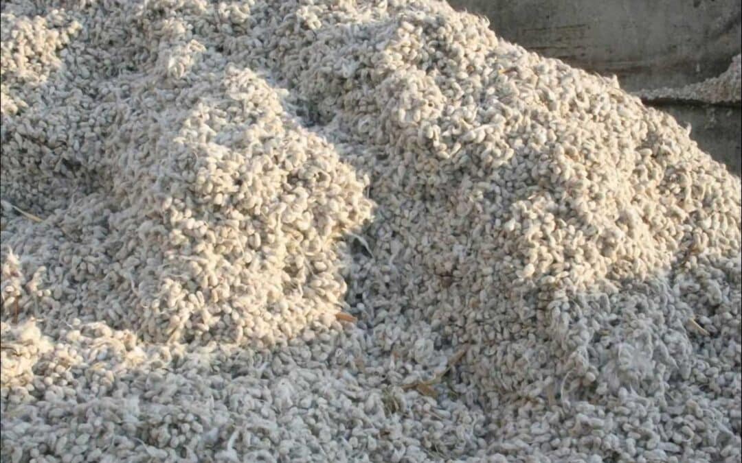 From Seed to Finish: Cottonseed Oil Powers Safer, PFAS-Free Textile...