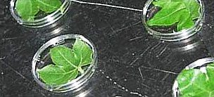 Research Programs from Industry