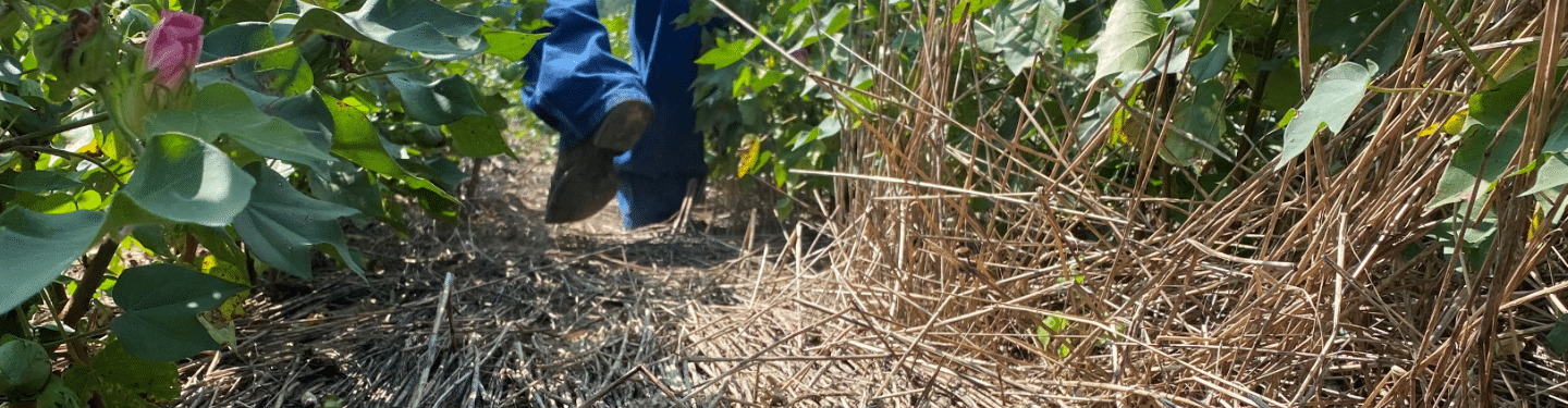 Soil Health