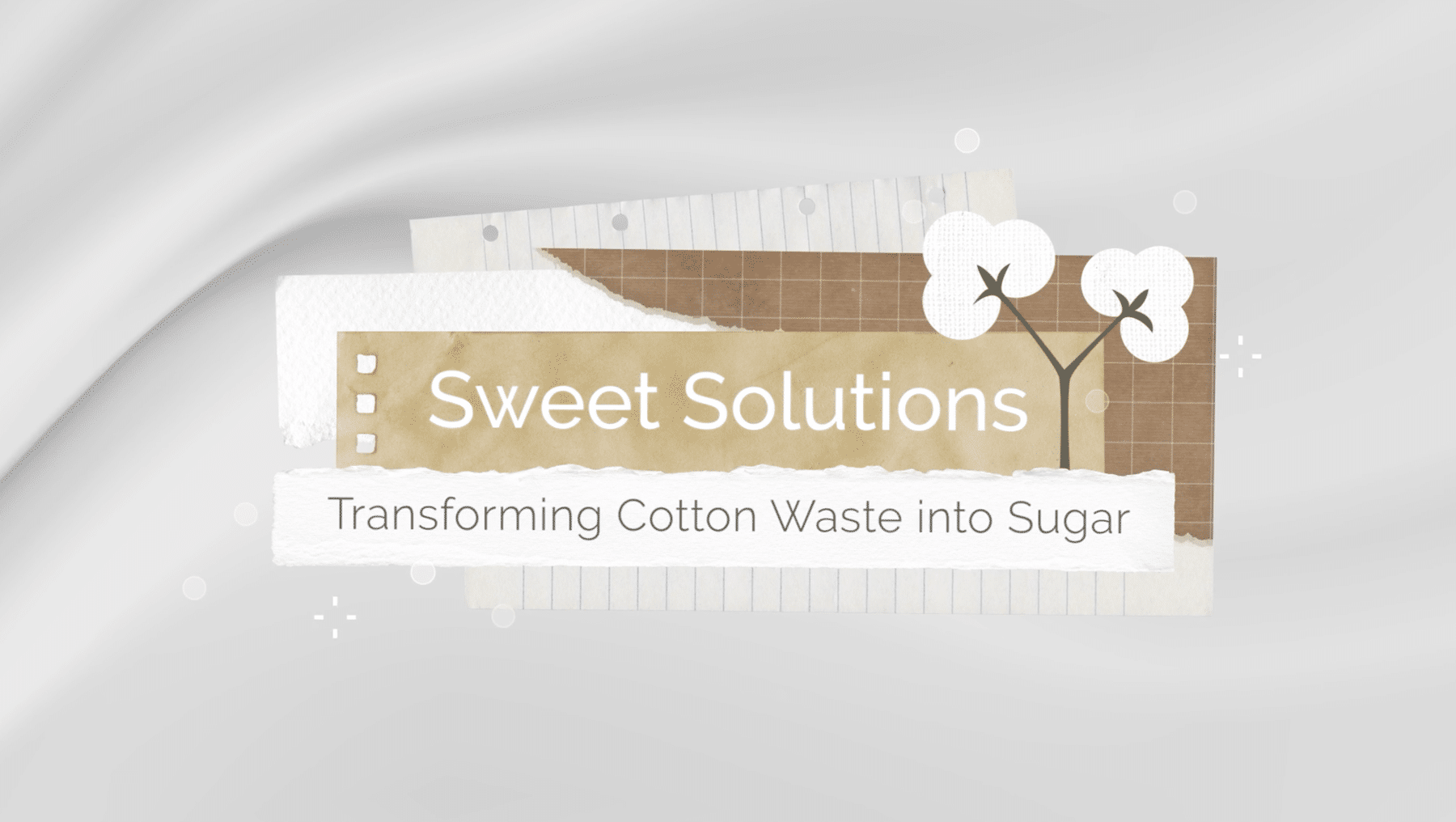 Sweet Solutions: Transforming Cotton Waste into Sugar