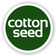 Whole Cottonseed