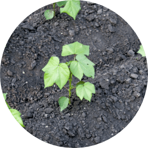 soil-health-img@2x Soil Health